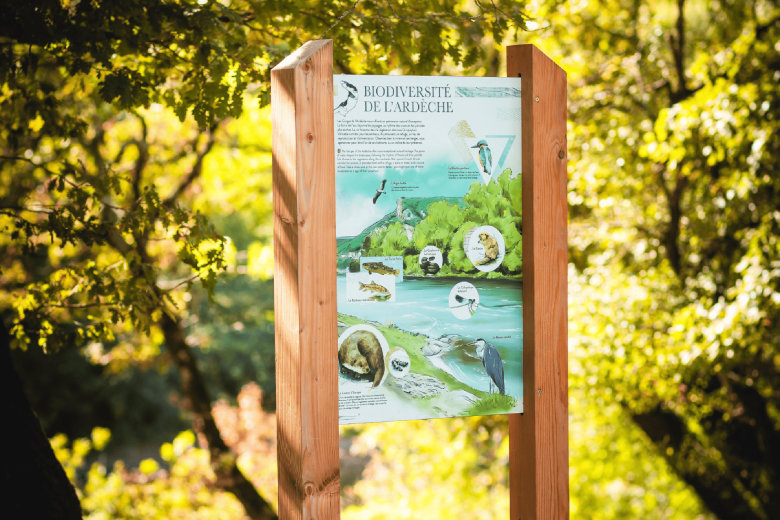 camping rives d arc vallon pont d arc