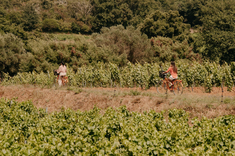 le domaine de verdagne gassin