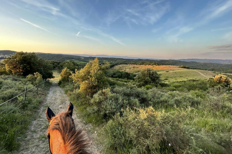 camping domaine d arnauteille montclar