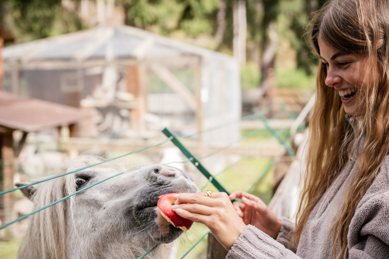 camping olympia south tyrol